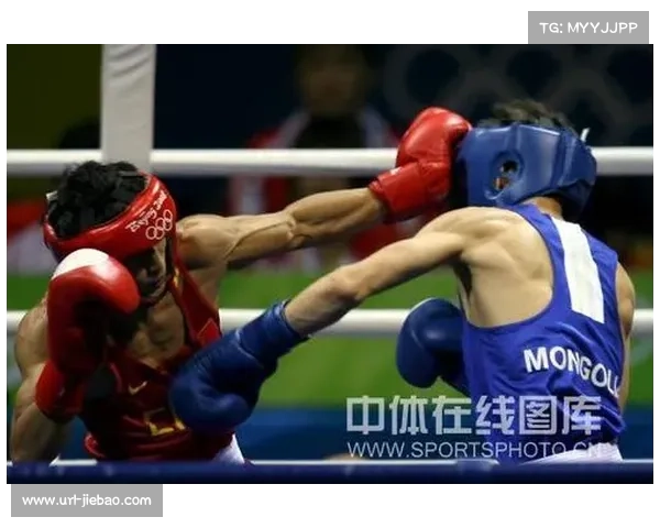 全国冠军赛金牌分布揭示各省区市拳击实力格局变化趋势分析