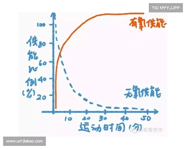 举重运动技术统计分析在级别调整后的重新评估与适应性研究